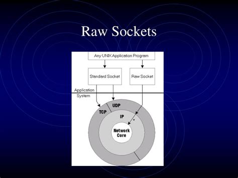 Raw Socket Programming に対する画像結果