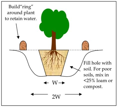 Image result for Defencable Buffer Planting