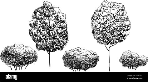 Linear Forest Graphic に対する画像結果