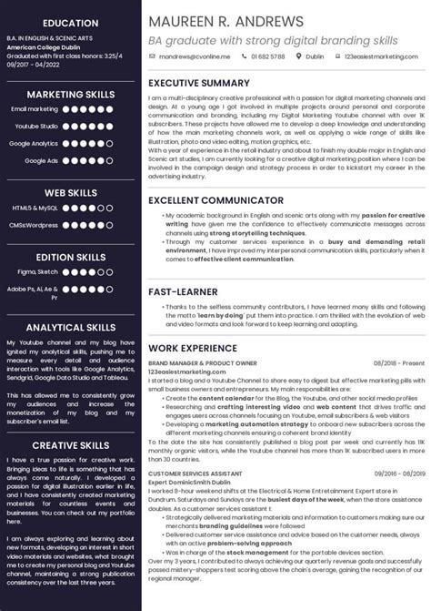 Image result for Student CV Examples