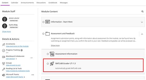 Image result for MATLAB Grader
