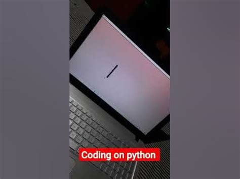 Image result for Python Snack