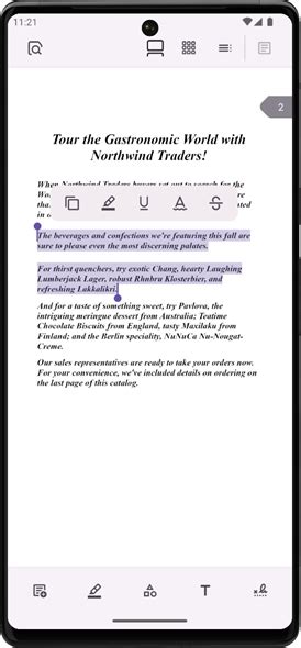 Image result for DevExpress PDF
