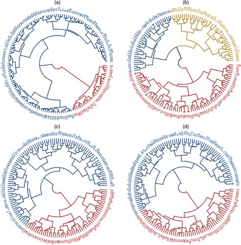 Toradh íomhá ar Euclidian Algorithm