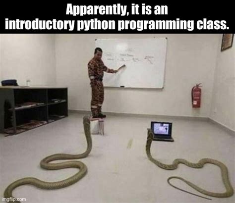 Python Programming Meme Joke માટે ઇમેજ પરિણામ