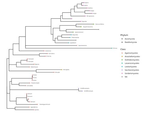 Image result for Tree 3 Visualization