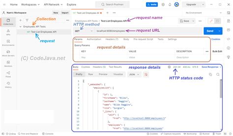 Image result for Postman API Images for Website