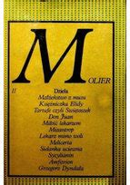 Afbeeldingsresultaten voor MATLAB Molier