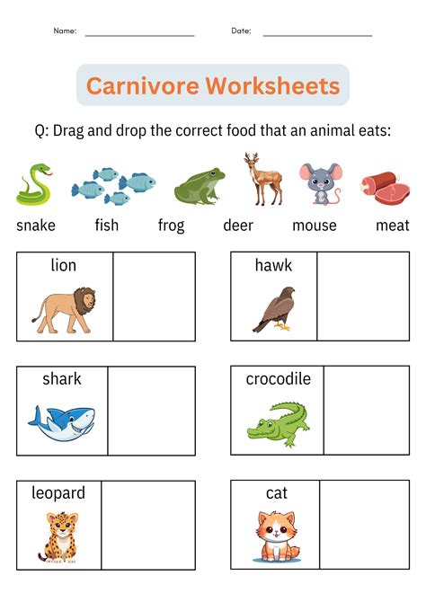 Afbeeldingsresultaten voor Animal Classification Worksheet 9th Grade