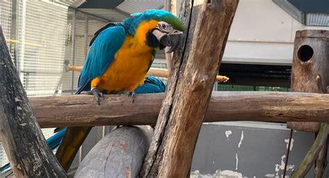 Math Reken Inert に対する画像結果