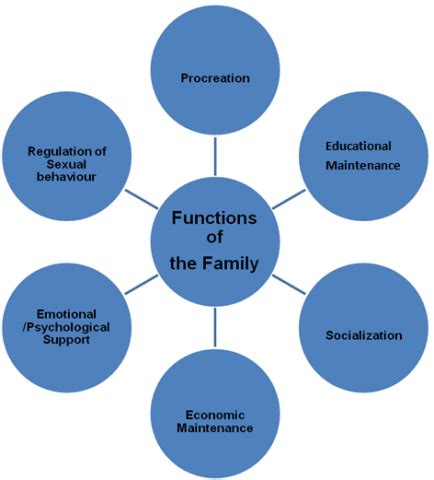 Image result for Function Families Explained