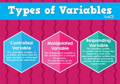 Image result for Types of Variable