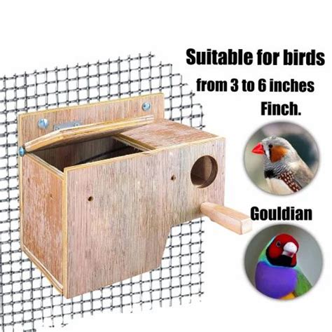 Java Finch Nest Box Images के लिए छवि परिणाम