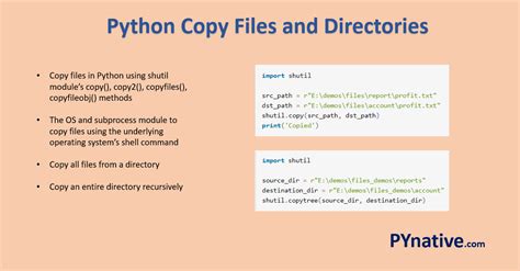 Image result for Copy and Paste Apps with Python