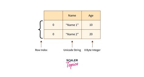 Numpy Structured Array എന്നതിനുള്ള ഇമേജ് ഫലം