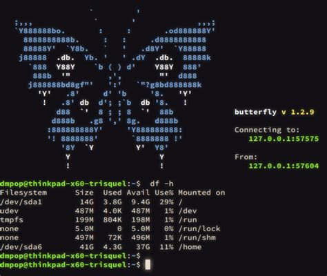 Image result for Butterfly Linux Distros