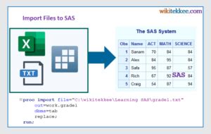 Image result for Proc Import XLS File in SAS