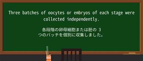 String Length in Batch に対する画像結果