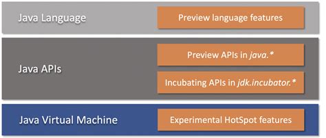 Image result for Java Preview