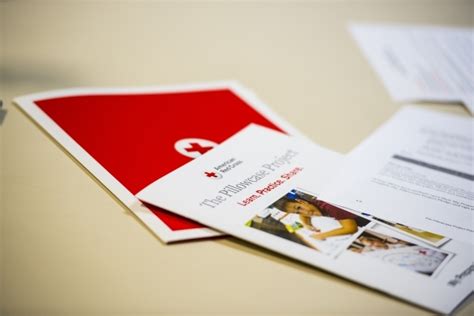 Image result for Program Life Cycle Red Cross