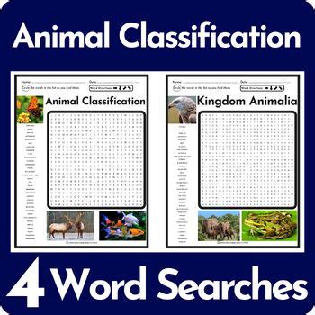 Image result for Classification Word Search