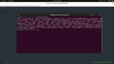 Image result for Request Python Params