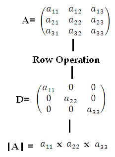 Image result for Determinant of Block Diagonal Matrix