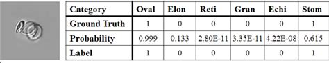 Binary Classification Table に対する画像結果