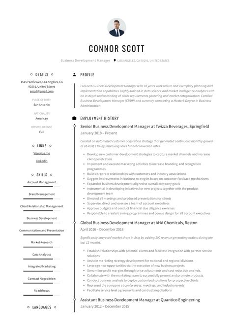 Resume Business Development Manager Format に対する画像結果