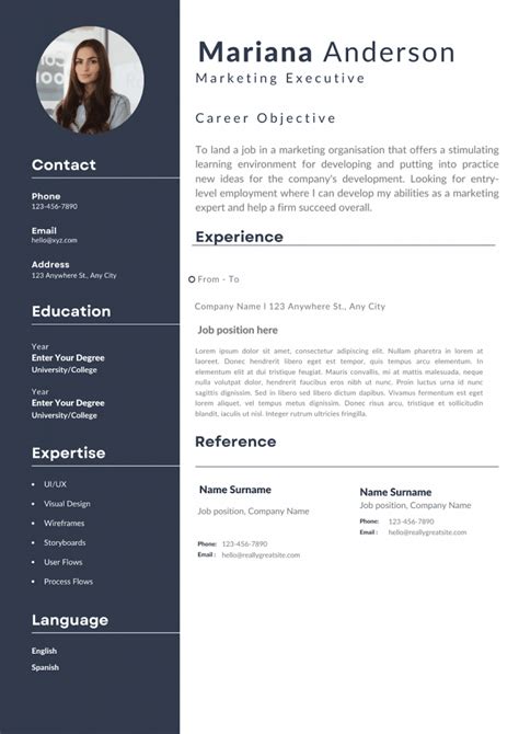 Image result for Professional Resume Objective Examples