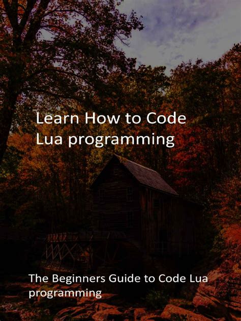 Image result for How to Program Lua