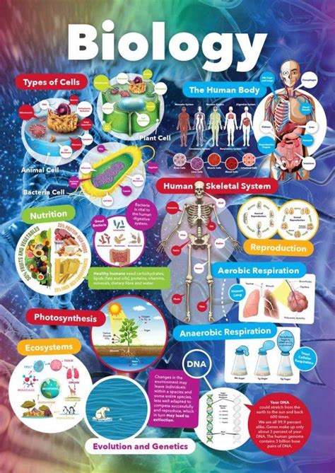 Image result for Colorful Design of Module in Science