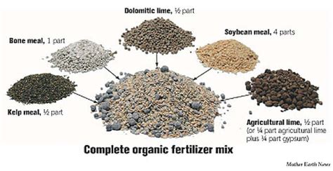 Image result for Organic Fertilizer Examples