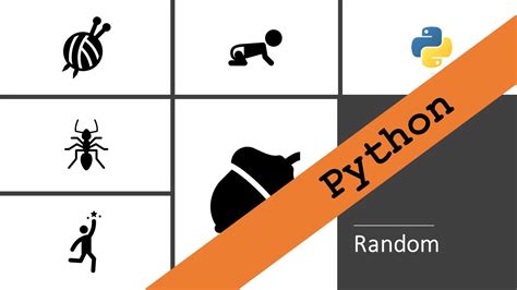Image result for Random En Python