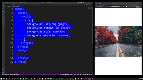 Image result for adding background image in html using vs code