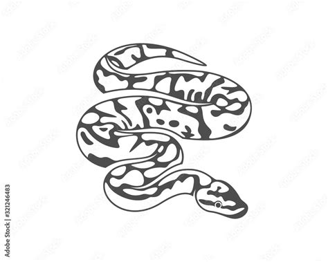 Image result for Python Snake Split SVG
