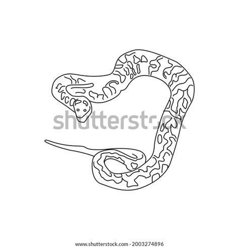 Image result for Line Drawing of Python