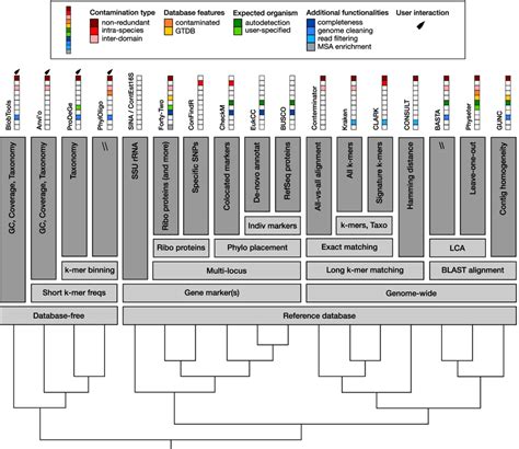 Image result for Organized Algorithms