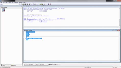 Image result for SAS Coding