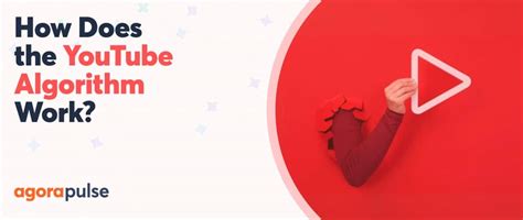 Image result for YouTube Algorithm Book