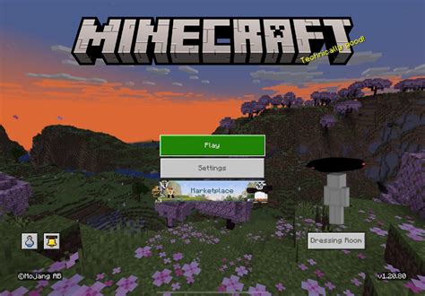 Minecraft Java Skins Not Loading に対する画像結果