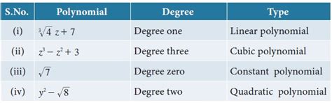 Different Types of Polynomials に対する画像結果