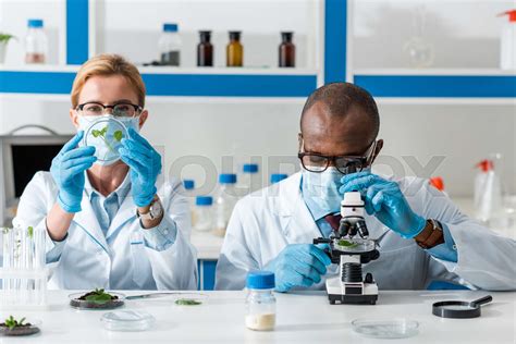 Image result for Microscope That Biologist Use