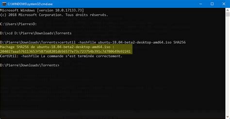 Certutil SHA256 に対する画像結果