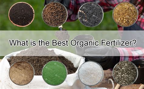 Image result for Organic Fertilizer Examples