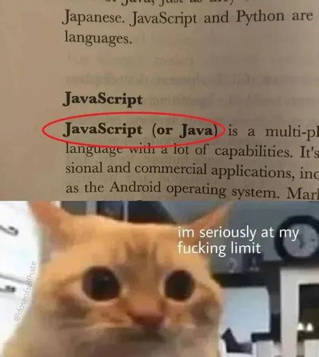 Funny JavaScript に対する画像結果