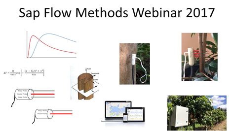 SAP Flow Time Series Chart に対する画像結果