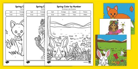 Bildergebnis für Color by Number Spring