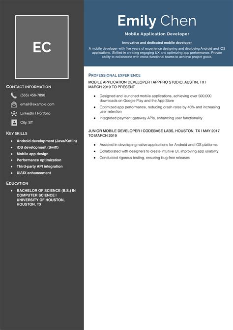 Image result for Software Developer Resume