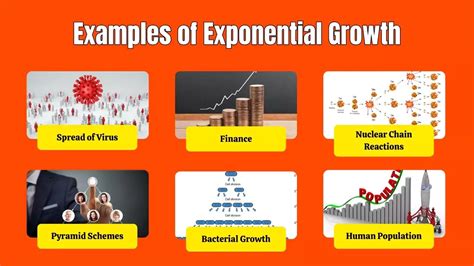 Image result for Exponential Example